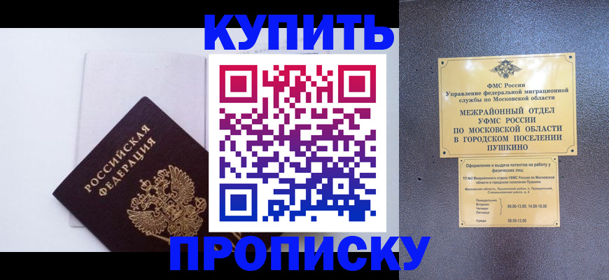 найти адрес прописки в Оленегорске